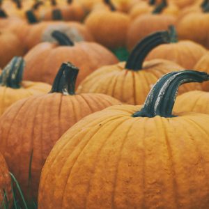 beneficios de la calabaza